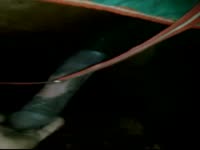 Slut takes in a big horse dick in her pussy